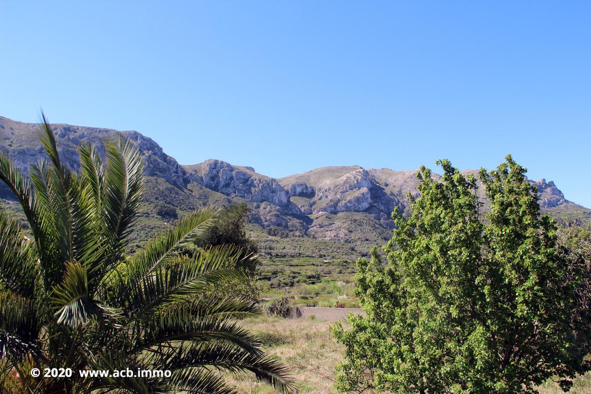 Acheter sur la costa Blanca - Alpatró