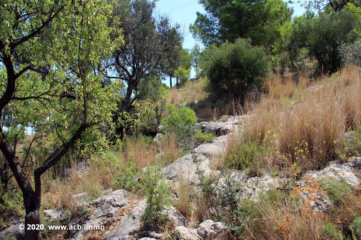 Acheter sur la Costa Blanca - Oliva