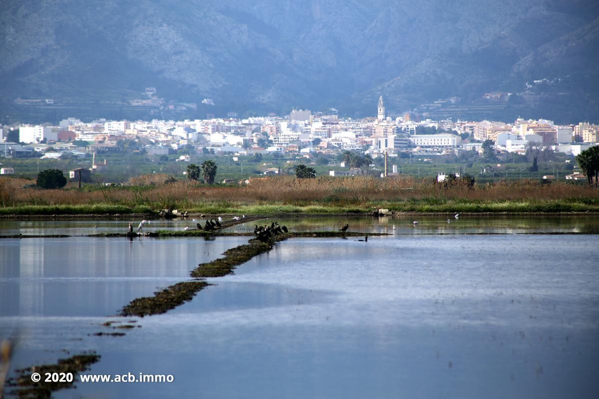 Acheter sur la Costa Blanca - Marjal, Pego, Dénia
