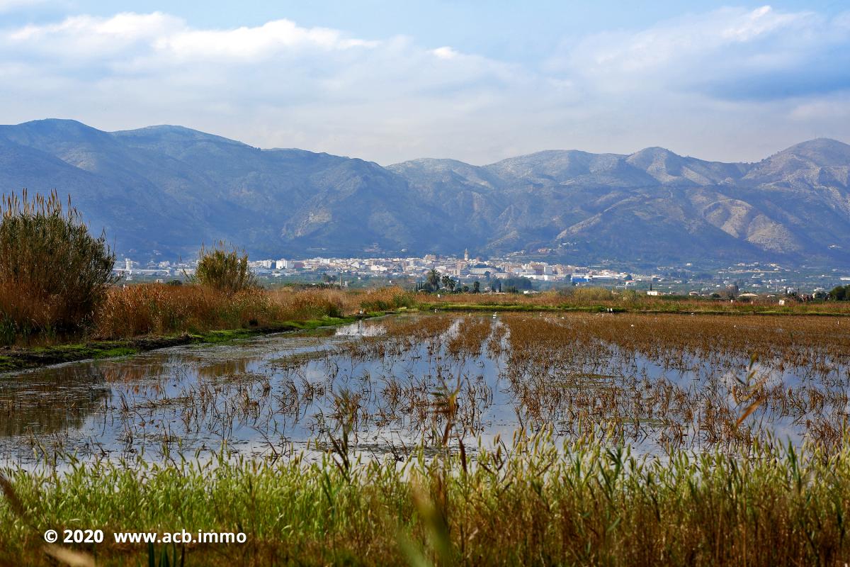 Acheter sur la Costa Blanca - Marjal, Pego, Dénia