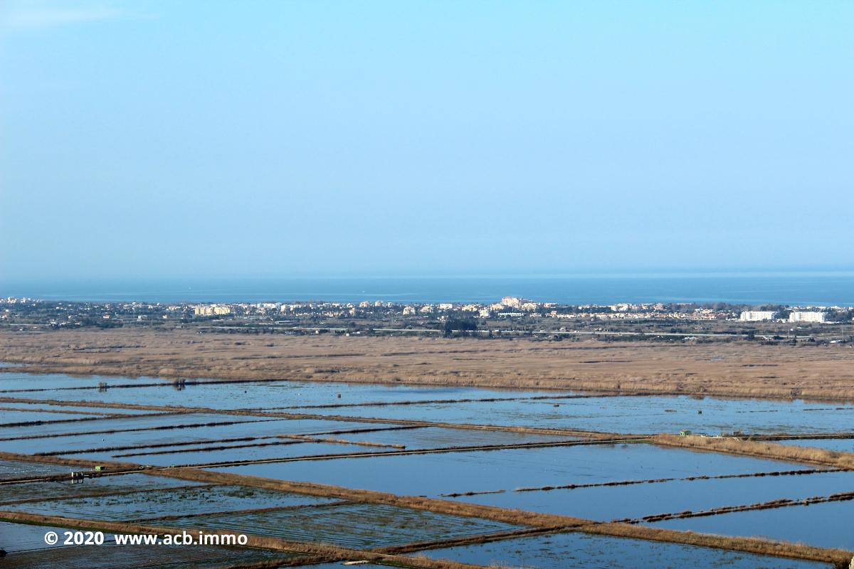 Acheter sur la Costa Blanca - Marjal, Pego, Dénia