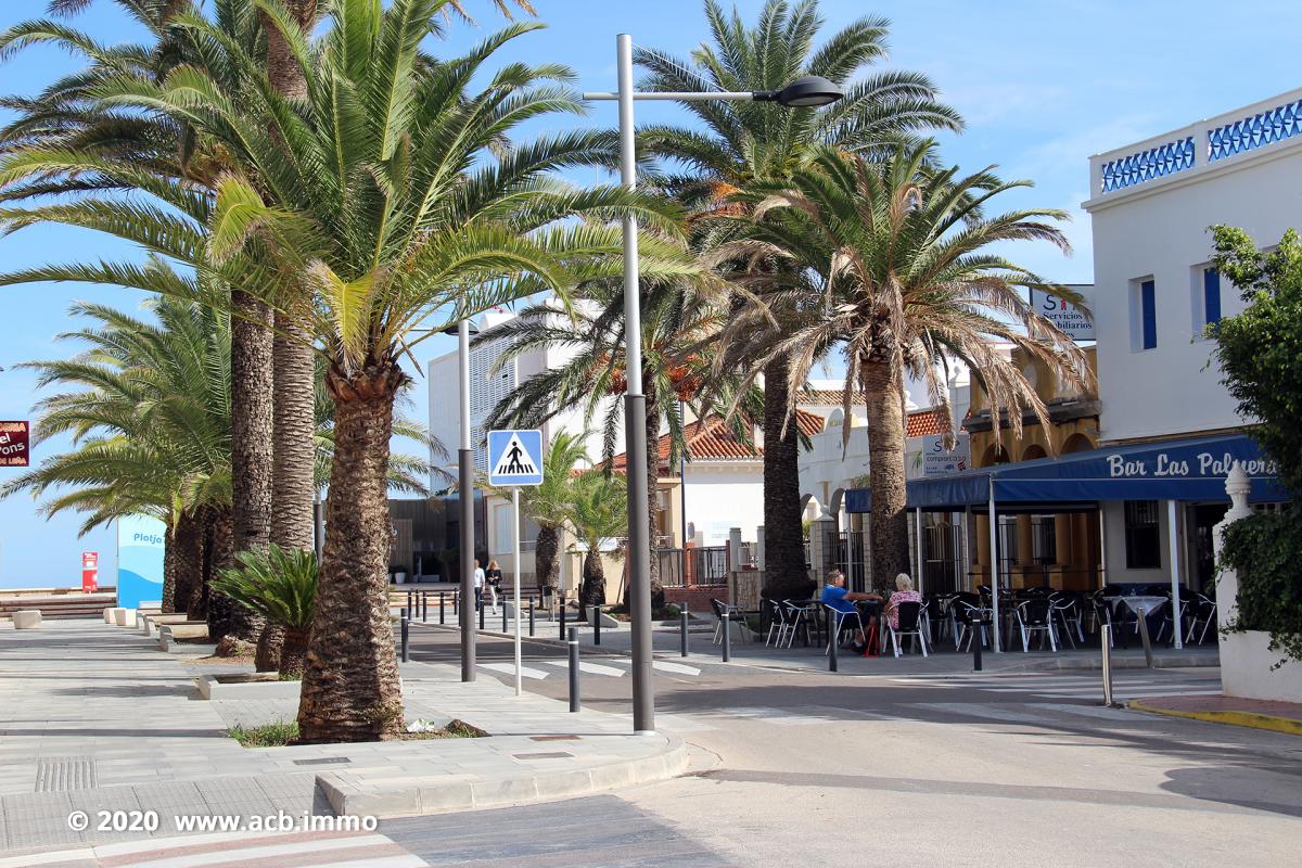 Acheter sur la Costa Blanca - Piles, Oliva