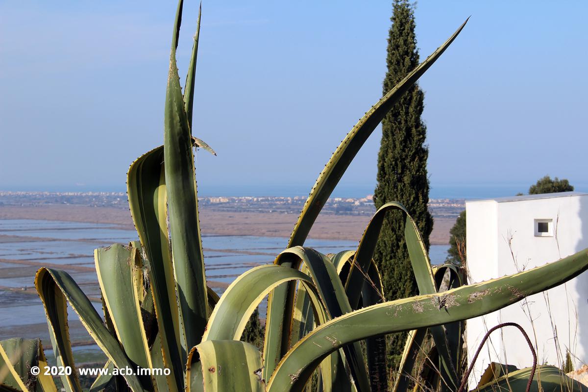 Acheter sur la Costa Blanca - Denia - Monte Pego