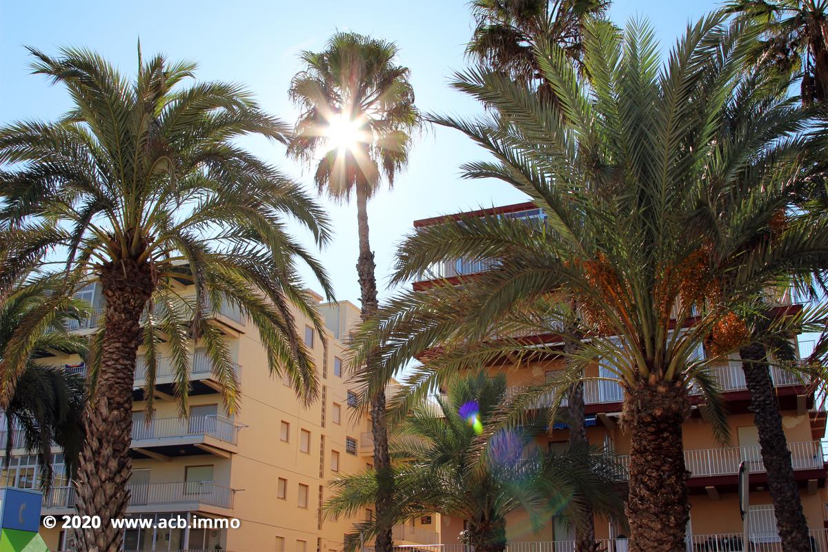 Acheter sur la Costa Blanca - Tavernes Playa