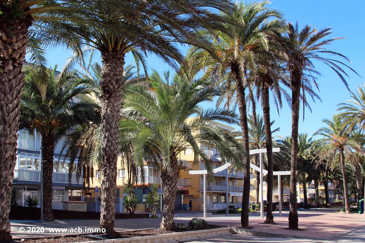 Acheter sur la Costa Blanca - Tavernes Playa