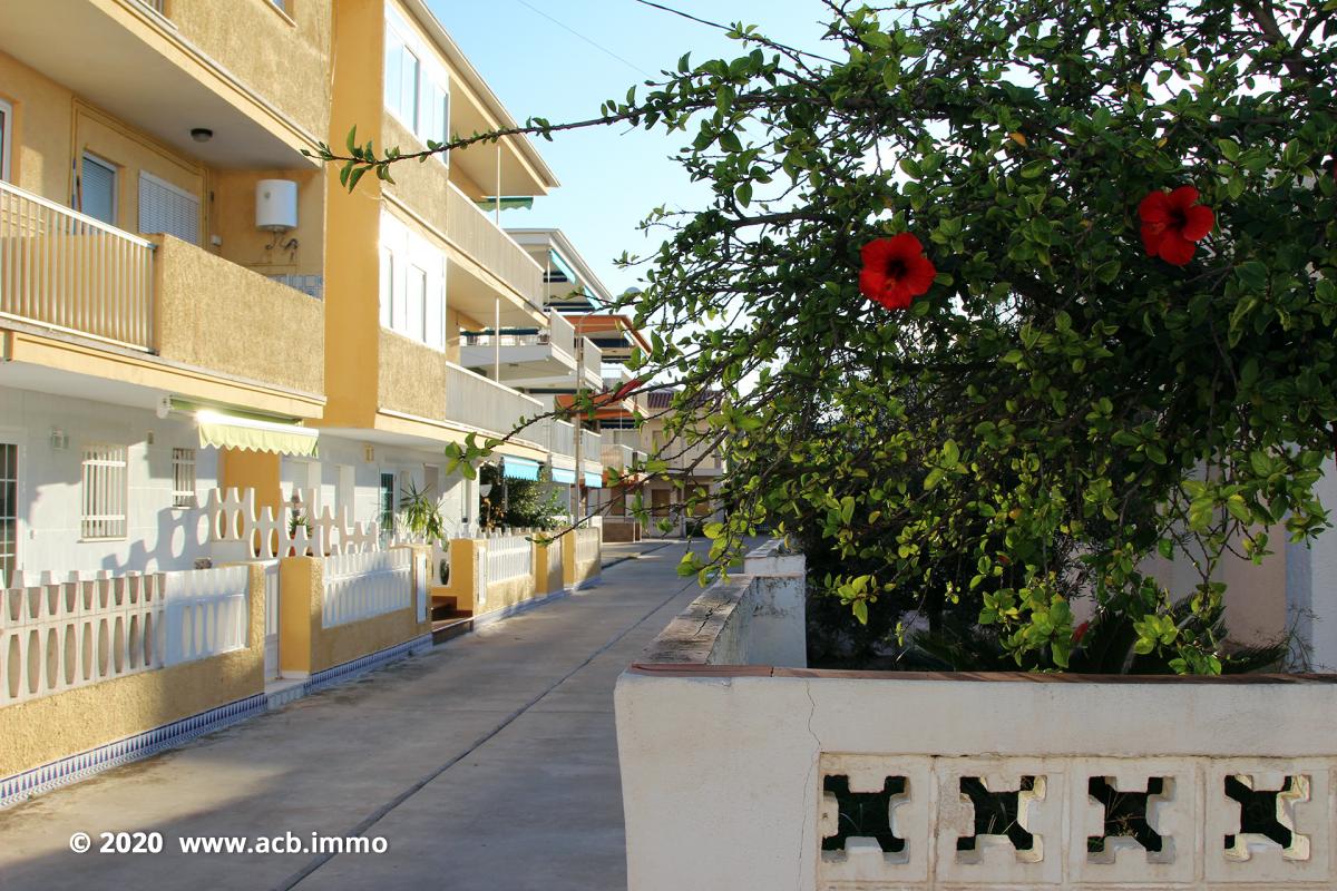 Acheter sur la Costa Blanca - Oliva Playa