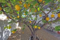 Real estate agency Denia, Monte Pego - For sale Villa, 3 bedrooms