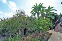 Real estate agency Denia, Monte Pego - For sale Villa, 4 bedrooms