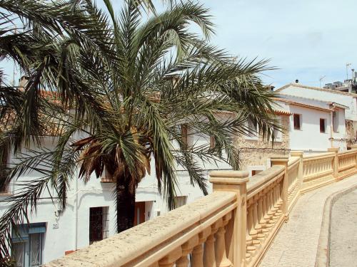 Acheter sur la Costa Blanca - Alcalalí