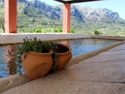 Acheter sur la costa Blanca - Alpatró