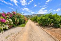 Agence immobilière Denia, Monte Pego - A vendre Villa, 2 chambres