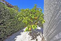 Agence immobilière Denia, Monte Pego - A vendre Villa, 3 chambres