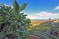 Agence immobilière Denia, Monte Pego - A vendre Villa, 3 chambres